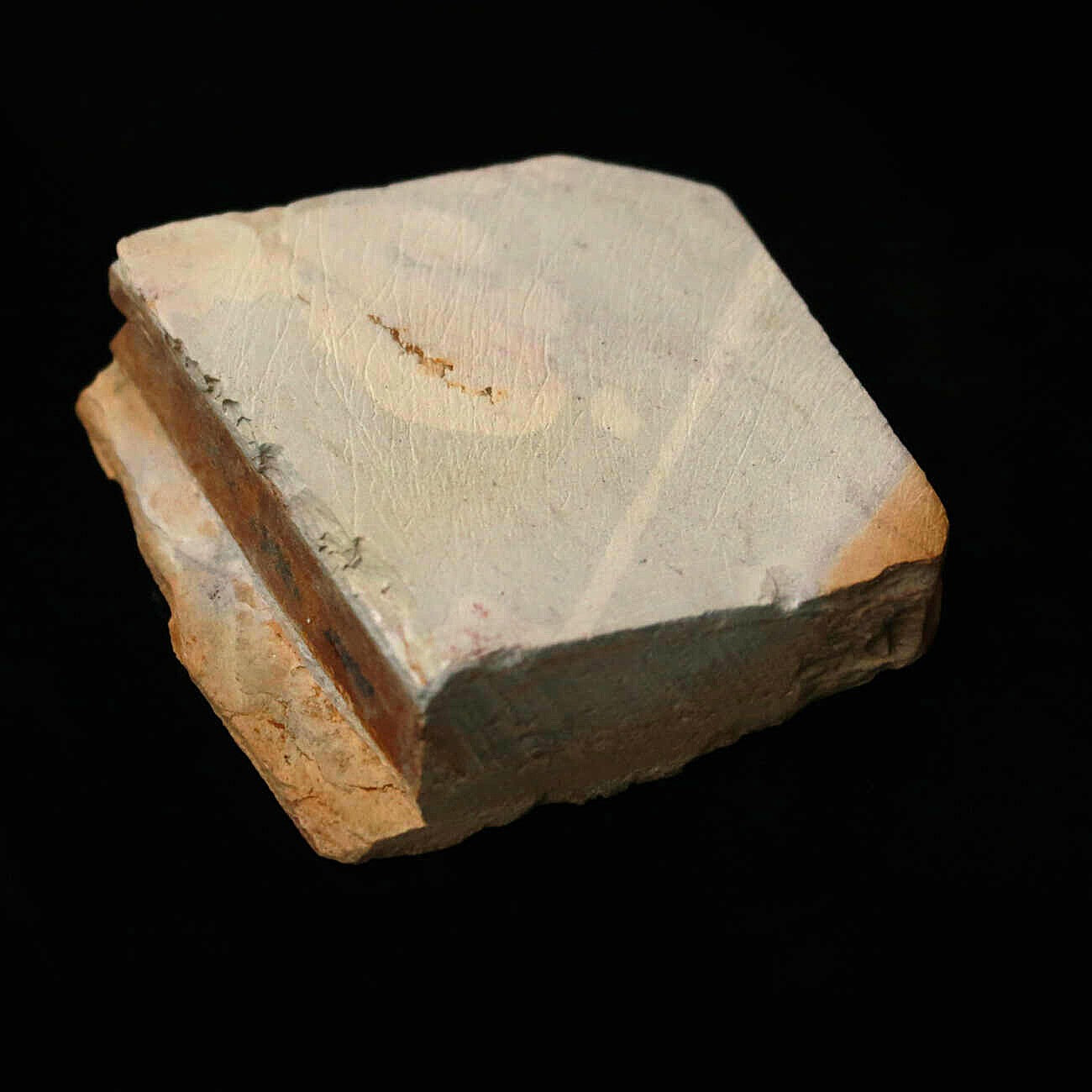 天然砥石 大突 巣板 コッパ 64×71×24mm
