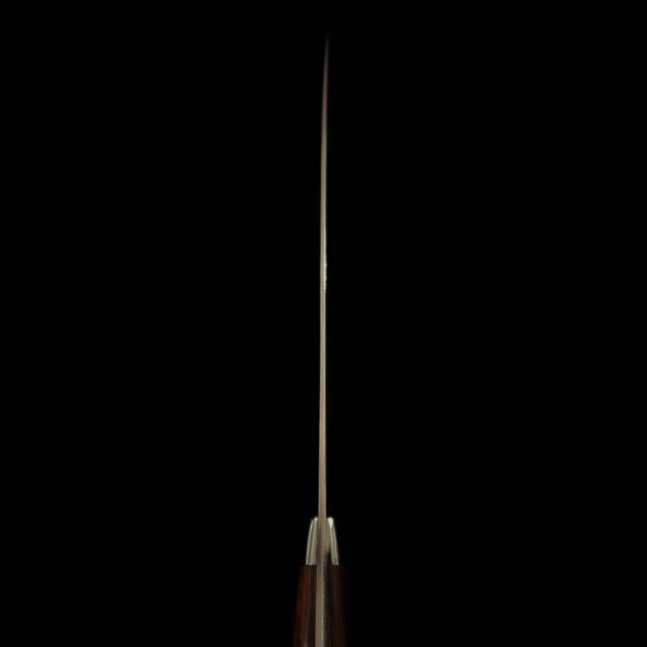 SAJI TAKESHI Aogami n°2 Rainbow Damas Petty manche en bois de fer (135/150mm)