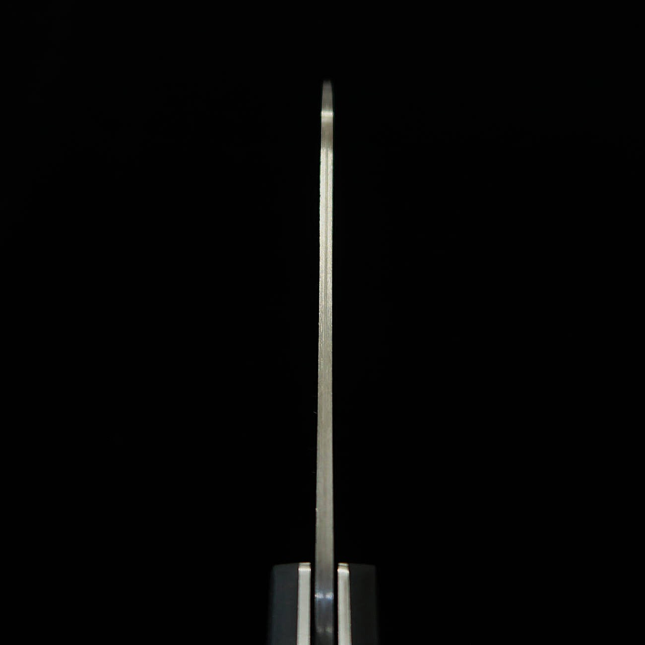 佐治武士SAJITAKESHI フォールディング三徳ナイフ SG2 黒染めダマスカス (130mm)