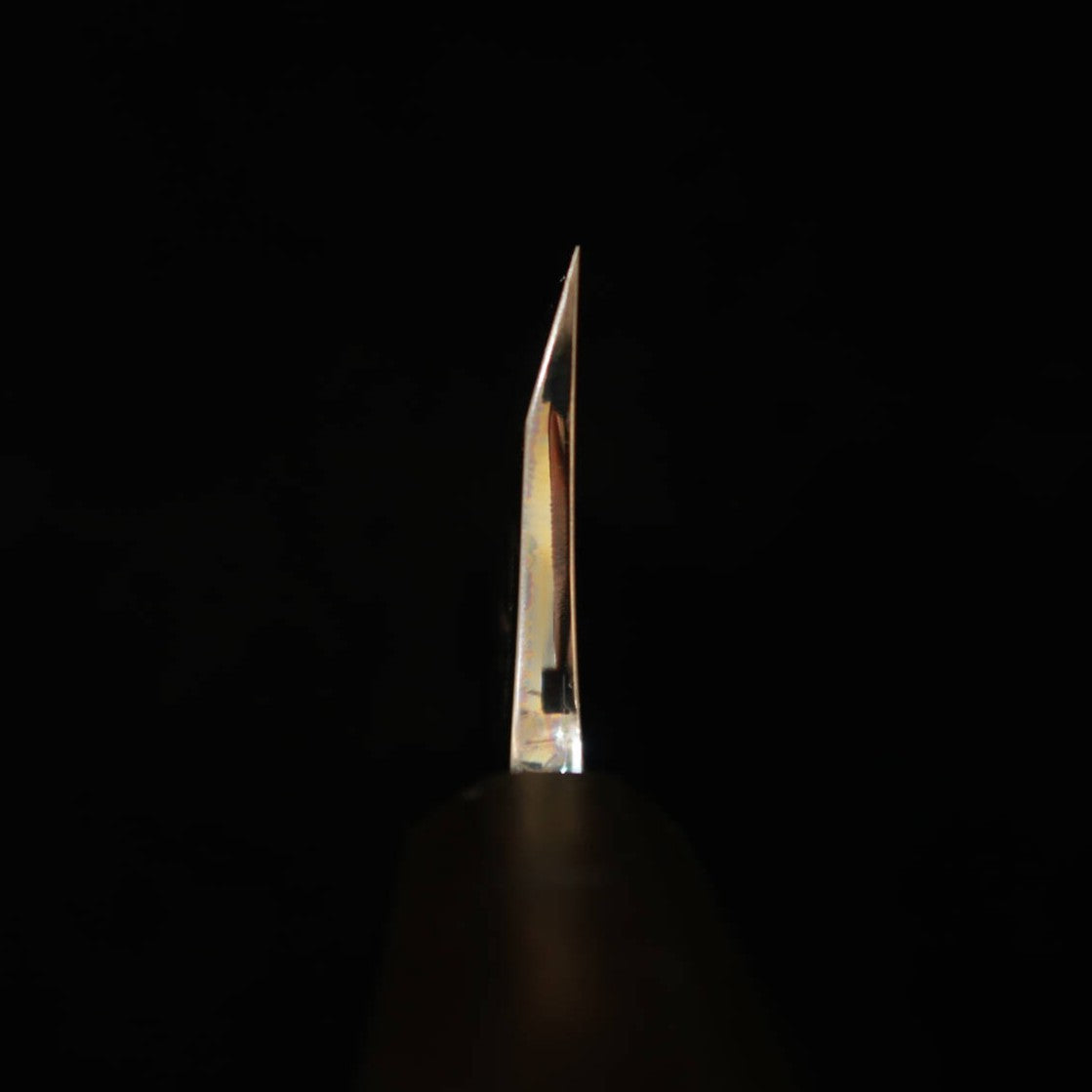 KAGEKIYO Deba, Shirogami No. 2, Lacquer Handle (165mm)