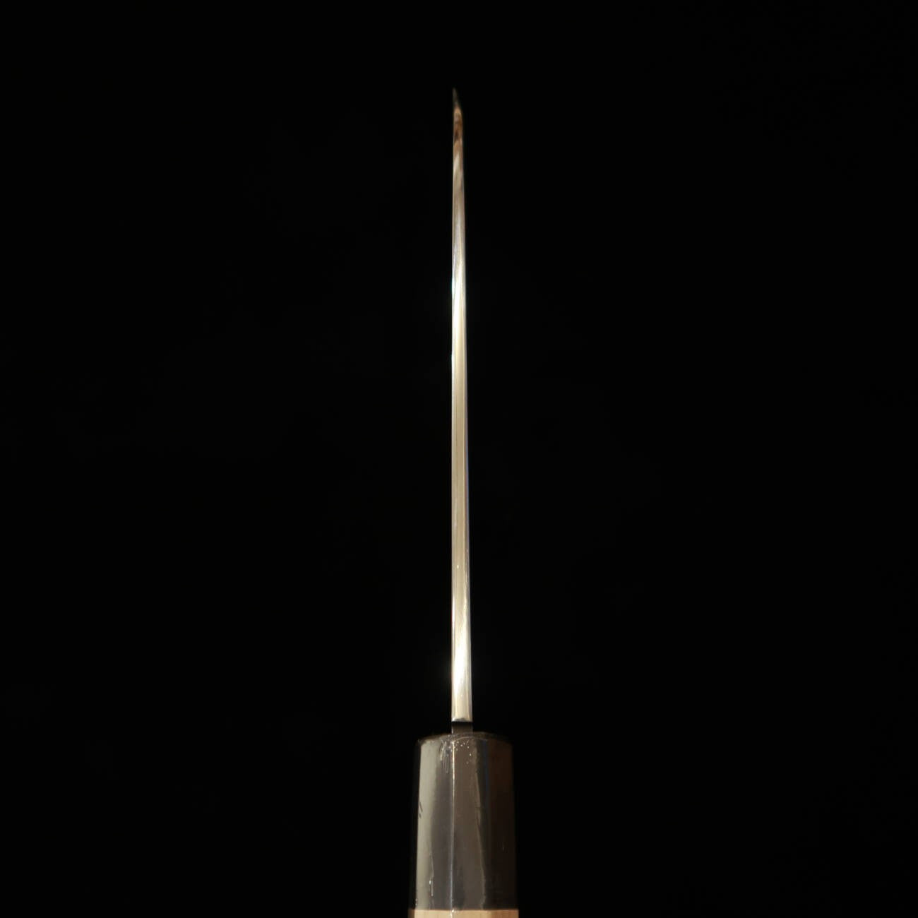 Funayuki "OUTLET" Suisin Shippu Kizuna Series Blue Steel (210mm)