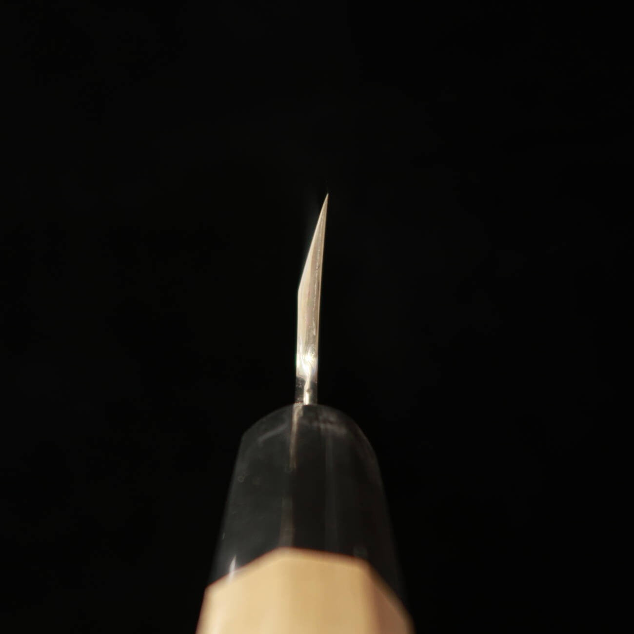 Funayuki "OUTLET" Suisin Shippu Kizuna Series Blue Steel (210mm)