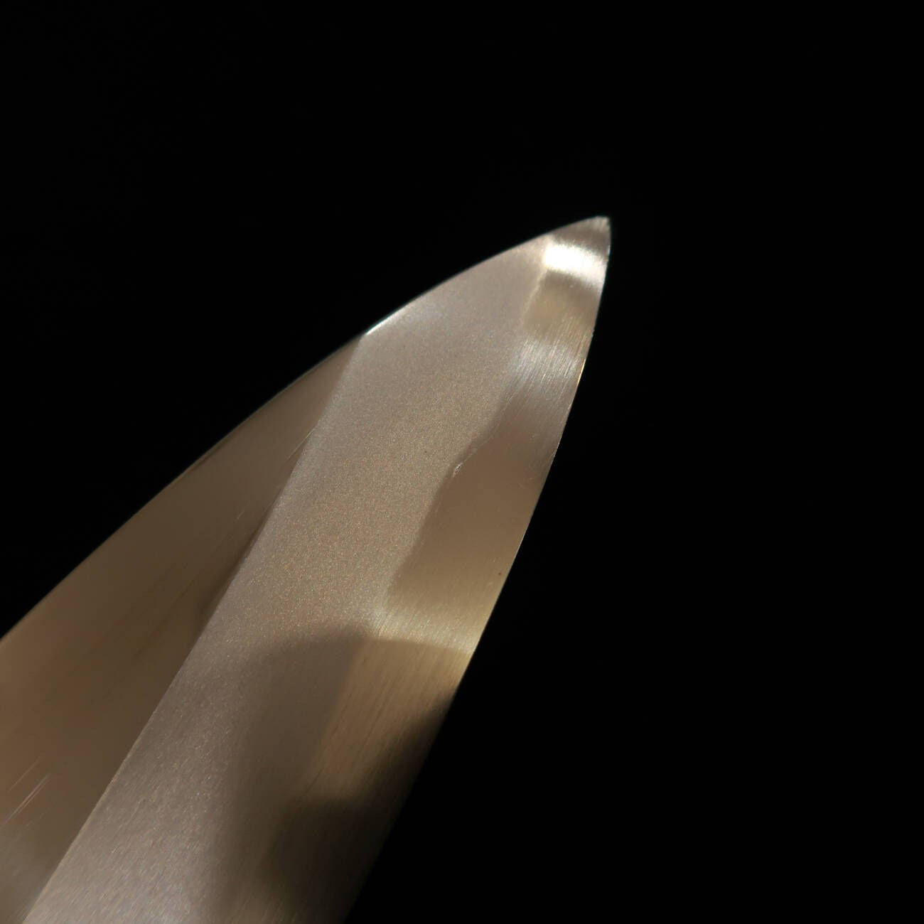 Funayuki "OUTLET" Suisin Shippu Kizuna Series Blue Steel (210mm)