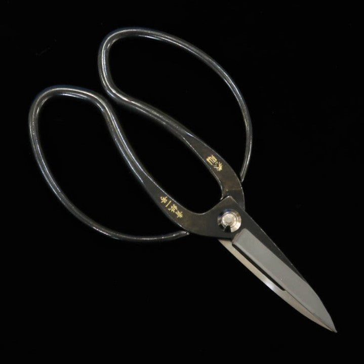 MIURA Pruning Shears, Yasunori Okubo, Scissors Aogami No. 1 (200mm)