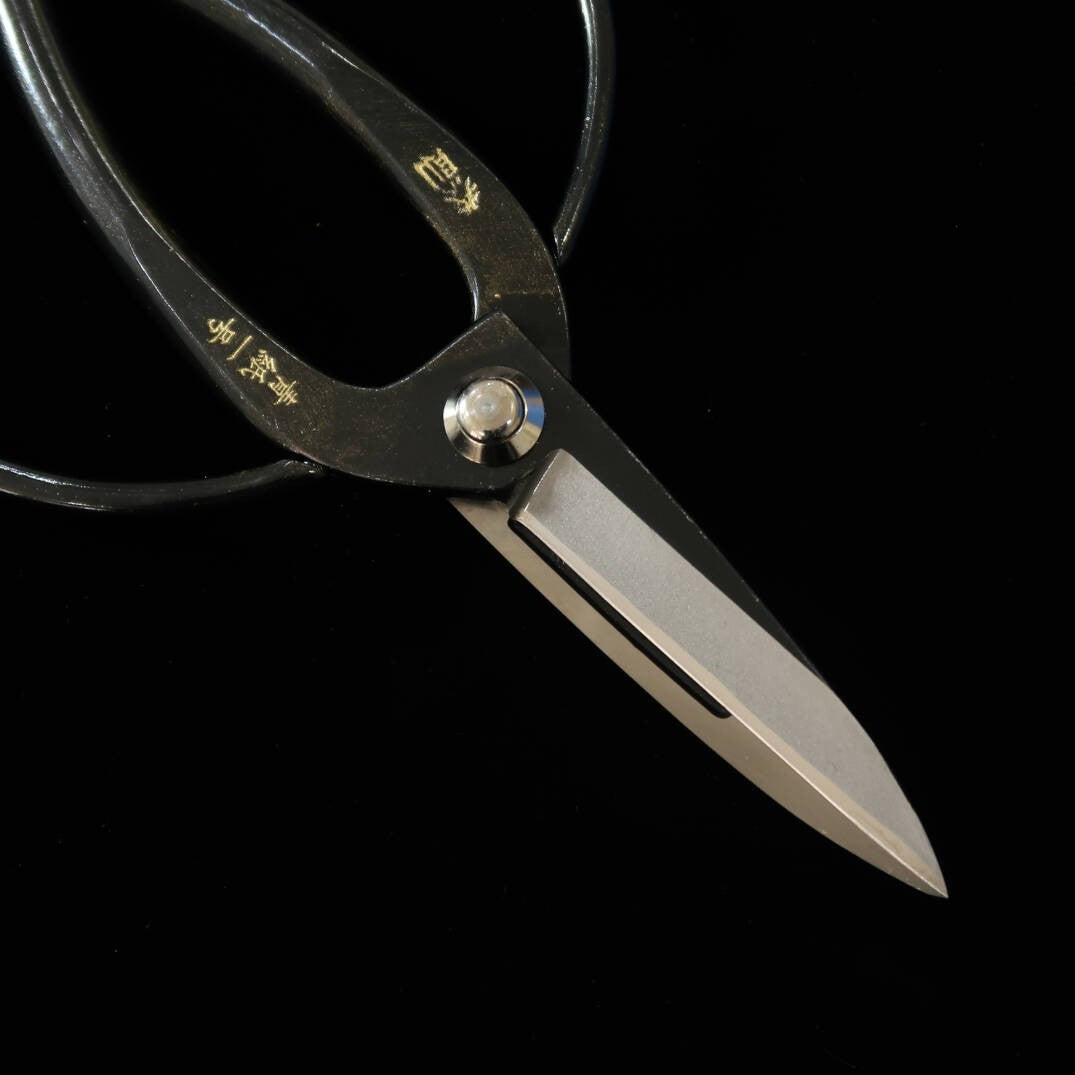 MIURA Pruning Shears, Yasunori Okubo, Scissors Aogami No. 1 (200mm)