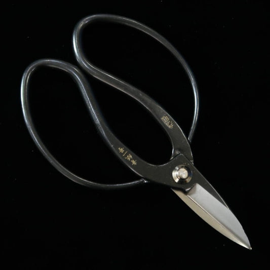 Tesoura MIURA Okubo Taisoku-in aço Aogami nº1, caixa preta (180mm)