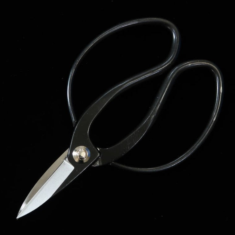 MIURA Okubo scissors Yasunori brand Aogami No.1 Black box (180mm)