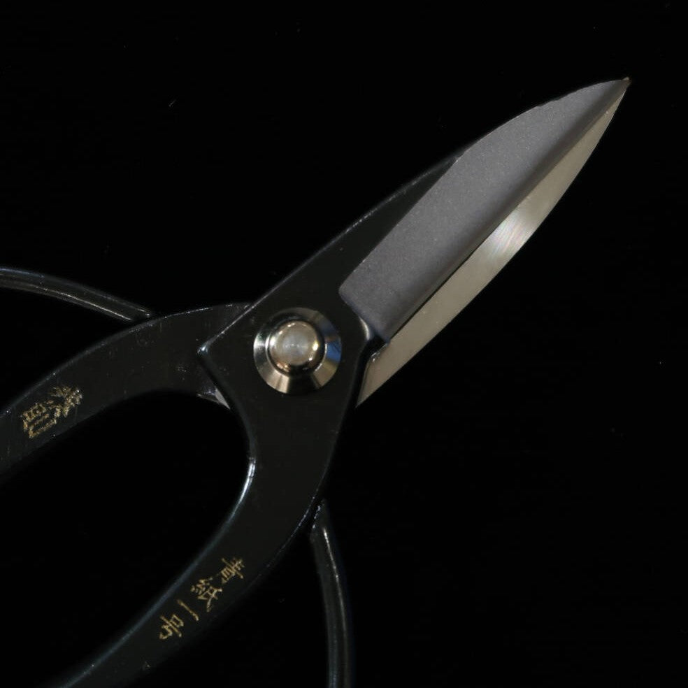 MIURA Okubo scissors Yasunori brand Aogami No.1 Black box (180mm)