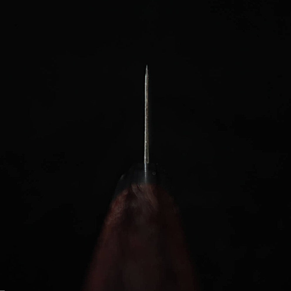 TAKEDA Herramientas forjadas a mano Bitchu Hoja Sasano (extra grande) Acero Hitachi Aogami Super (270 mm)