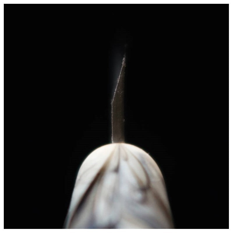 MIURA Kaisaki Aogami No. 2 Black Finish Katsura Handle (75/90mm)