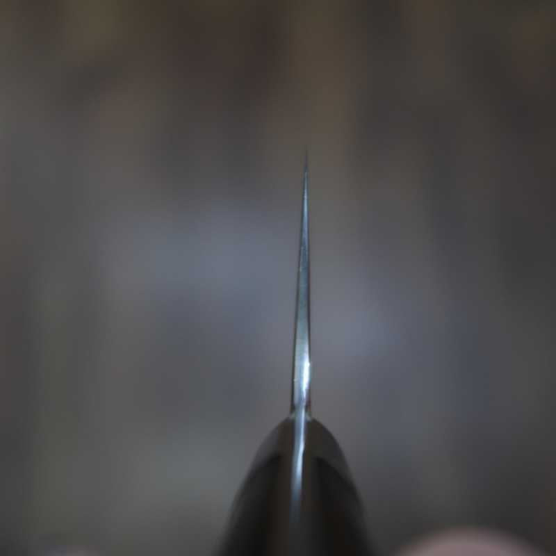 Saji Takeshi SAJI TAKESHI Nakiri Blue Paper n°2 Rainbow Damas Manche en bois de fer (165 mm)