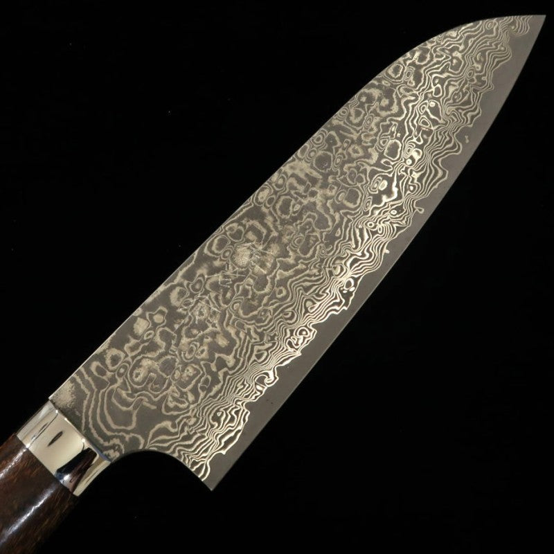 Takeshi Saji Santoku R2 Damascus Ironwood (180mm)