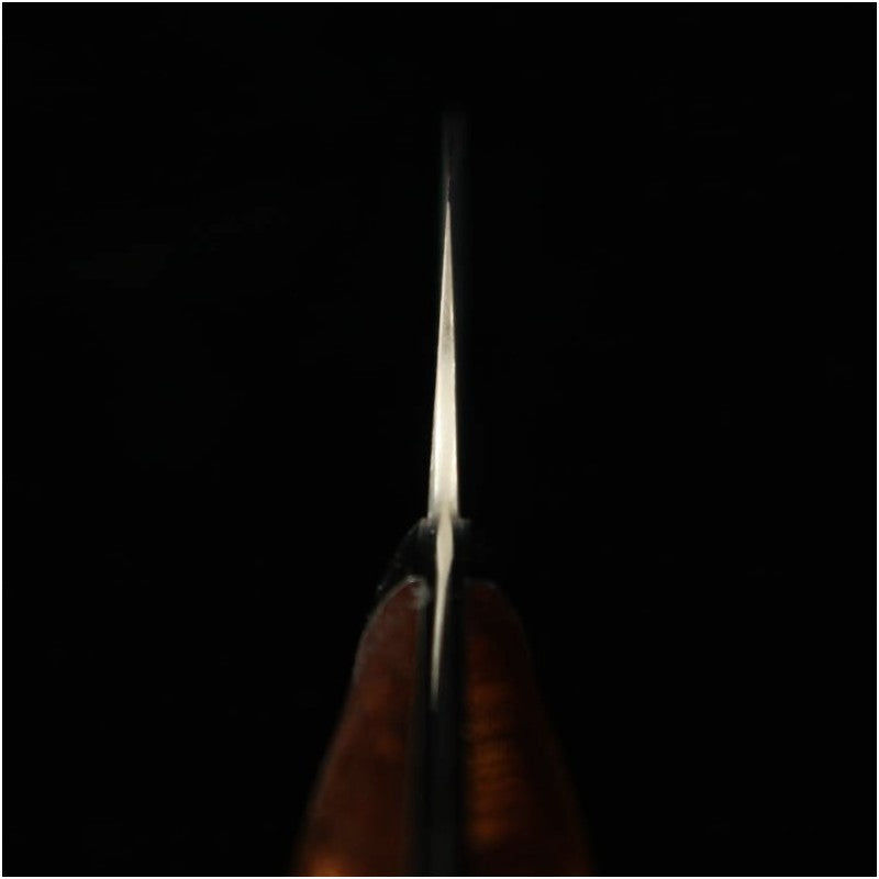 Takeshi Saji Santoku R2 Damascus Ironwood (180mm)