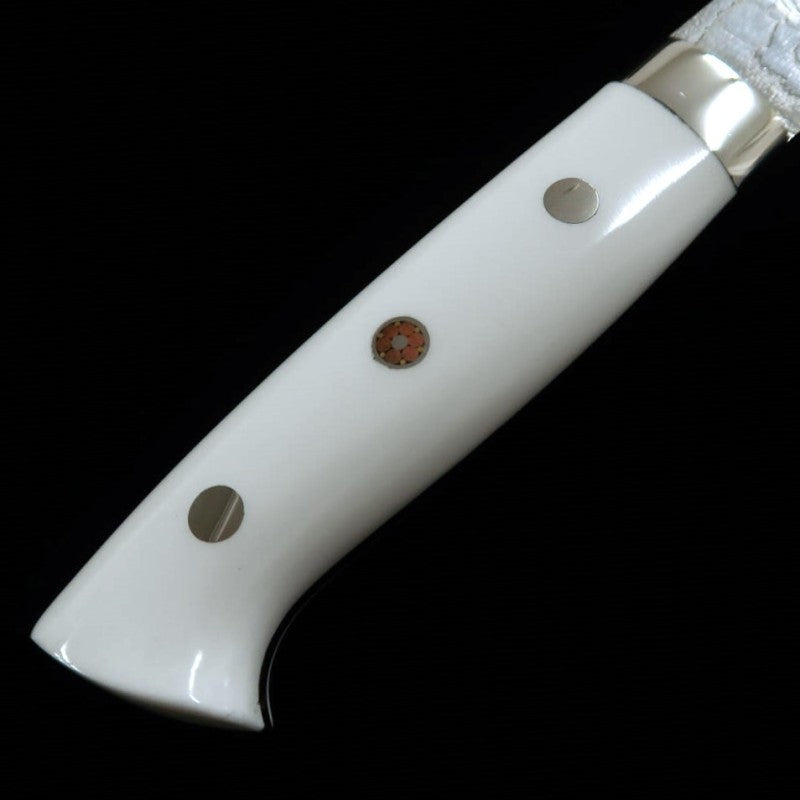 佐治武士 SAJI TAKESHI R2 ダイヤモンドフィニッシュ 牛刀 コーリアン (210mm)