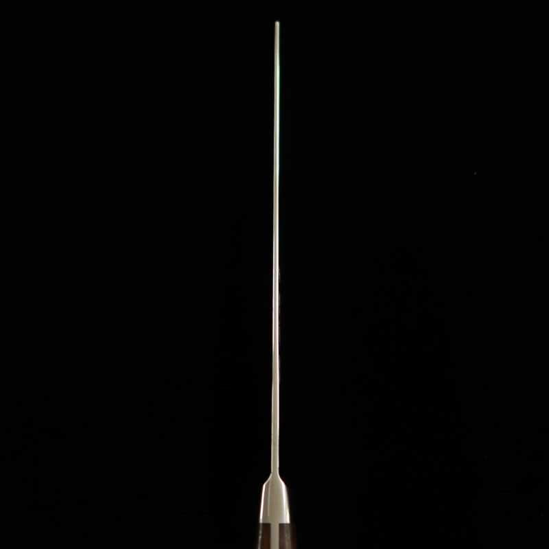 Sakai Takayuki Grand Chef SP Série Type I, acier spécial, Kirituke Yanagiba, fourreau noir (260 mm)