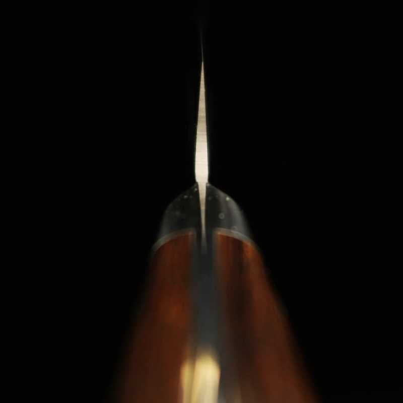 Sakai Takayuki Grand Chef SP Série Type I, acier spécial, Kirituke Yanagiba, fourreau noir (260 mm)