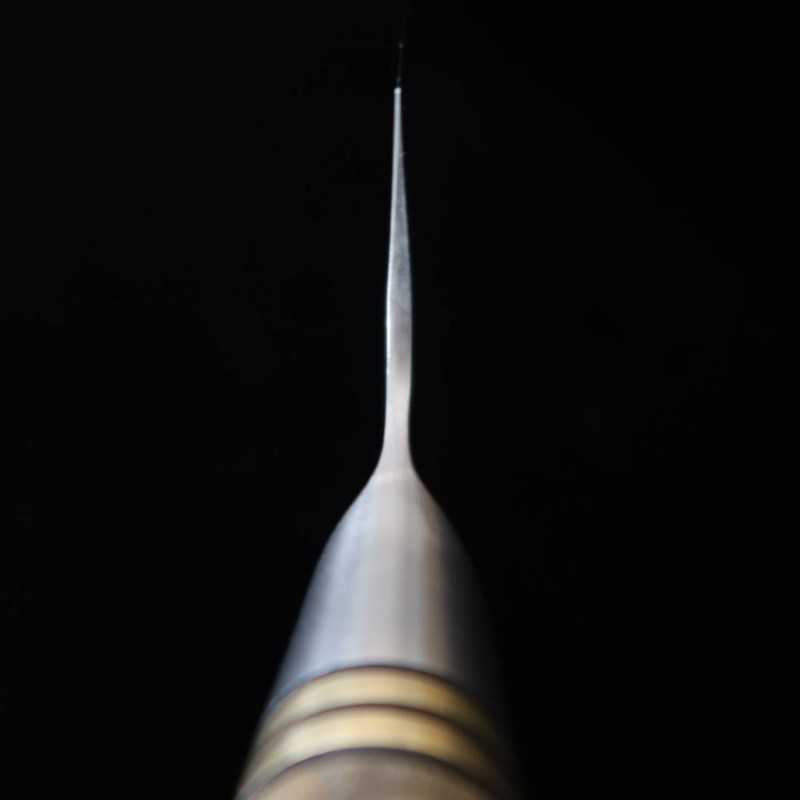 Takeshi Saji Gyuto R2 martelé manche en bois de burma (210/240 mm)