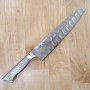 Japanese chef Knife gyuto - GLESTAIN - Sizes: 21/24/27/30/33cm