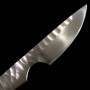 Custom Knife - PROMETHEUS - Thor - HS Stainless - Narthex(Ferula communis) -