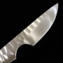 Custom Knife - PROMETHEUS - Thor - HS Stainless - Narthex(Ferula communis) -