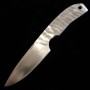 Custom Knife - PROMETHEUS - Thor - HS Stainless - Narthex(Ferula communis) -