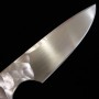 Custom Knife - PROMETHEUS - Thor - HS Stainless - Narthex(Ferula communis) -