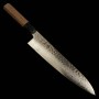 Japanese Chef Knife Gyuto- HATSUKOKORO - Hayabusa - VG10 - Damascus Hammered - teakwood handle - Size:21cm