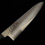 Japanese Chef Knife Gyuto- HATSUKOKORO - Hayabusa - VG10 - Damascus Hammered - teakwood handle - Size:21cm