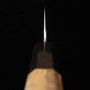 Japanese Chef Knife Gyuto- HATSUKOKORO - Hayabusa - VG10 - Damascus Hammered - teakwood handle - Size:21cm