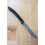 Faca steak knife TAKESHI SAJI Aço inox R2 cabo preto 10cm