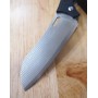 Faca santoku TAKESHI SAJI Estilo canivete Aço inox damascus R2 13cm