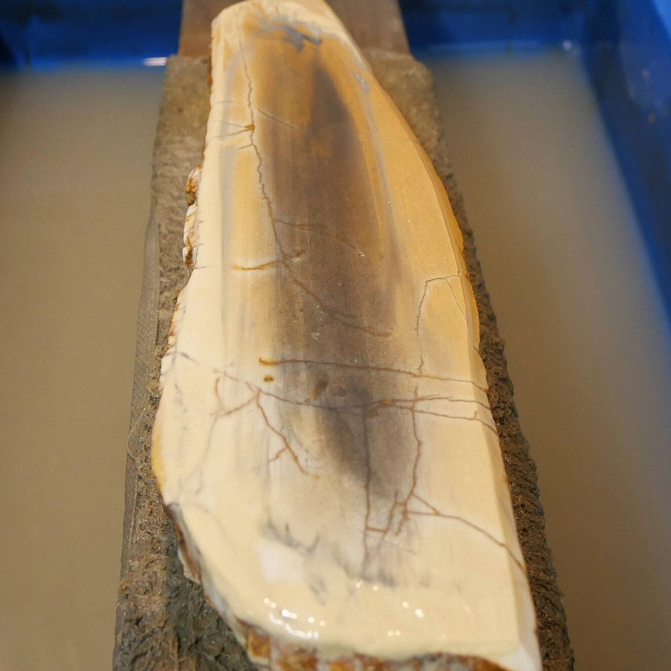 澪つくしひめ 天然砥石 伊豫銘砥 NM11　斜陽　70×250×30mm