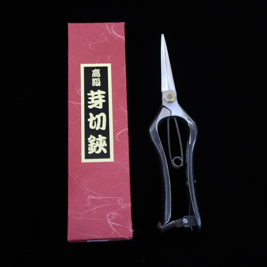 Cisailles japonaises pour taille de bourgeons, acier carbone (200mm)