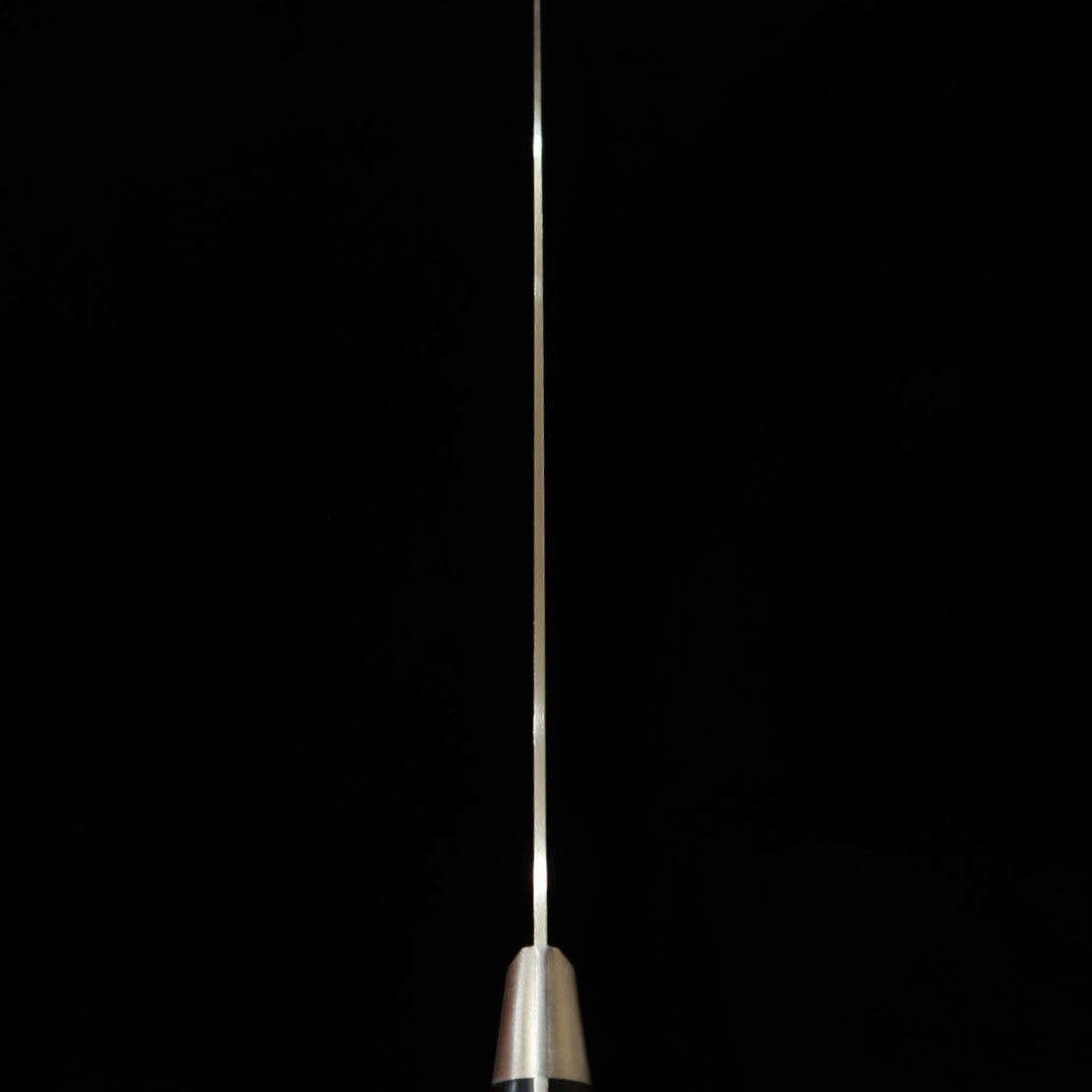 Misono MISONO UX-10 Gyuto tipo salmón (210 mm)