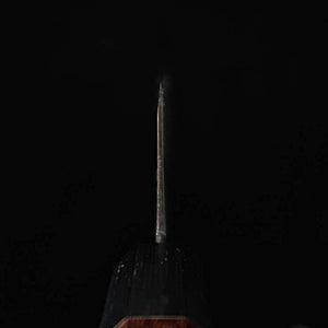 Takeda Hamono Sujihiki/Double-edged Yanagiba Aogami Super (270mm)