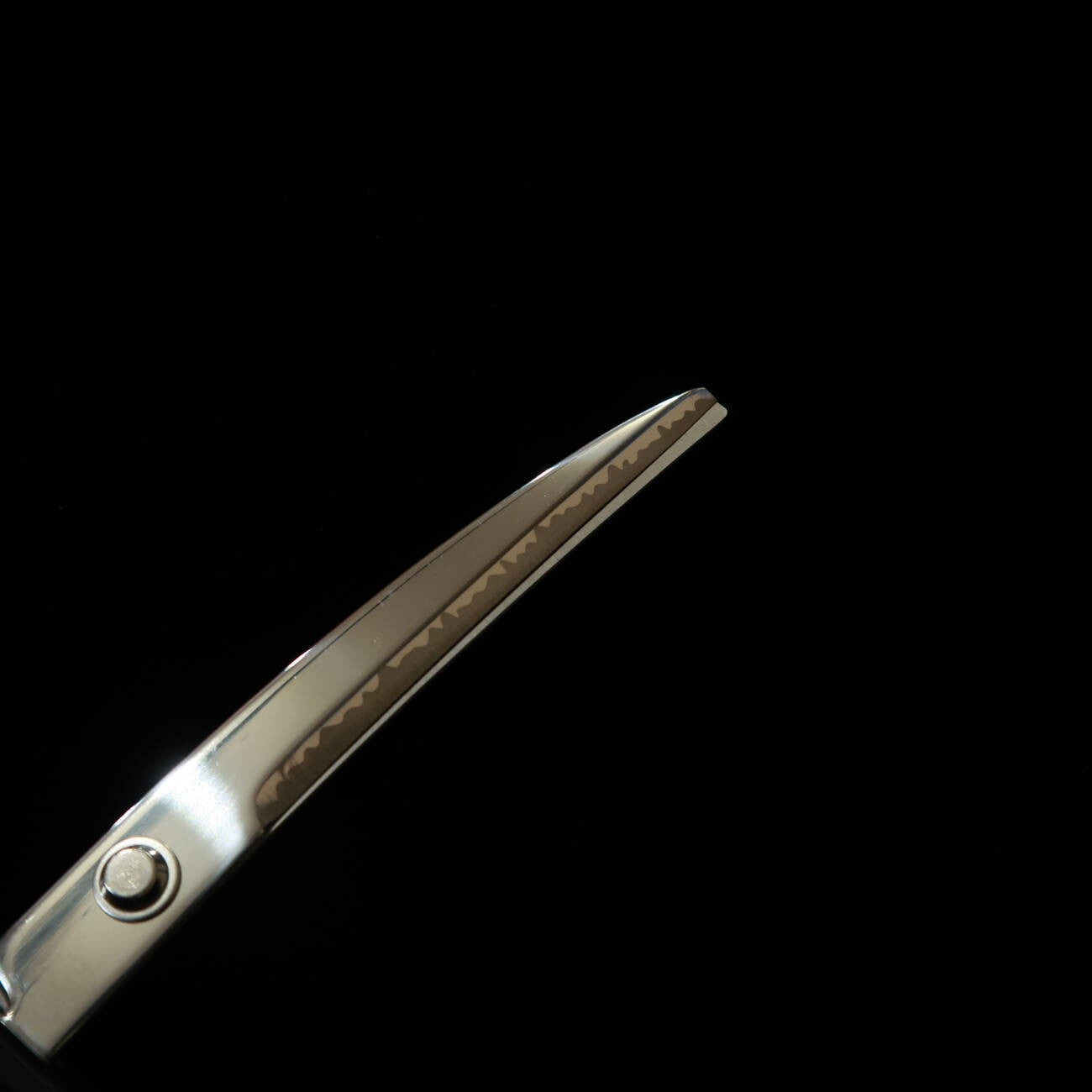 Nikken Hamono Ciseaux katana japonais avec support Tokugawa Ieyasu