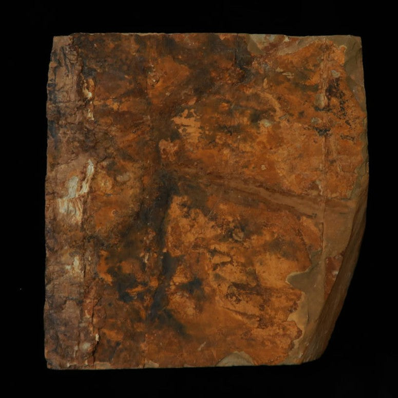 Pierre à aiguiser naturelle - Nakayama Awasedo - Forme irrégulière (92 x 94 x 14 mm)