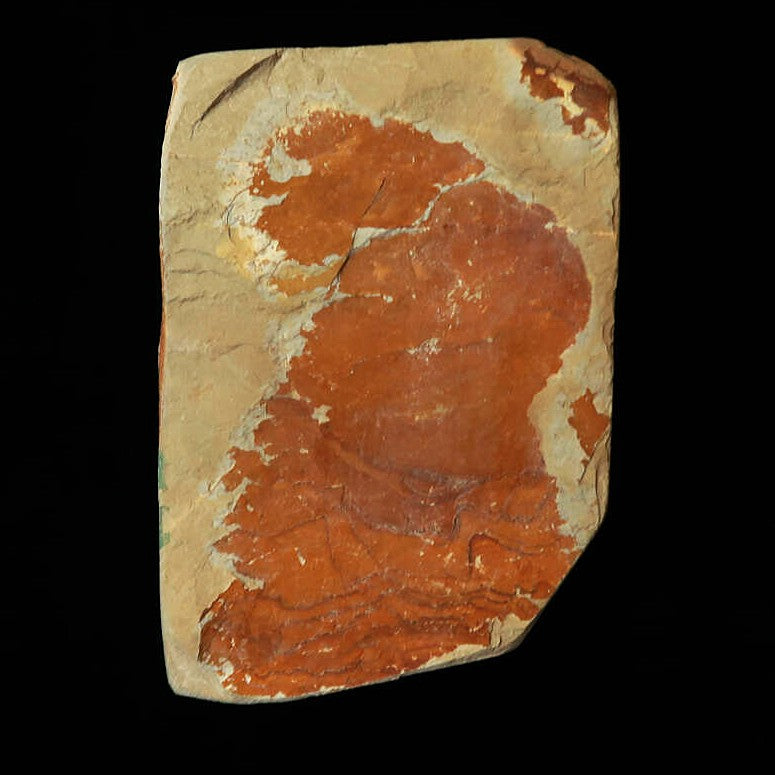 Piedra de afilar natural Nakayama Aoto, koppa, 83×119×30 mm