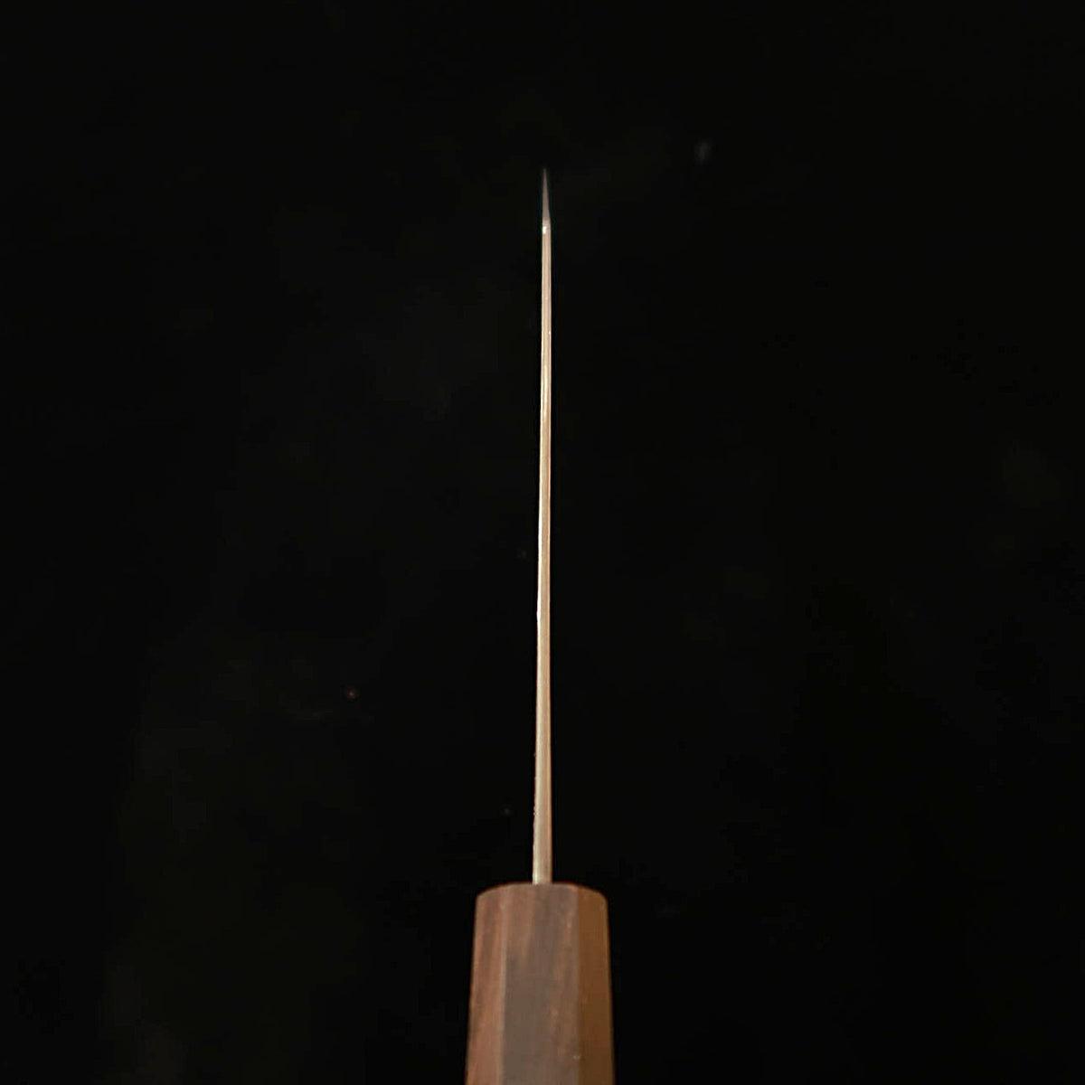 初心 HATSUKOKORO 流氷 文化 SG2 ダマスカス 磨き 黒檀一体柄（180mm）