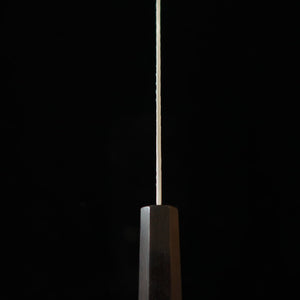 Nigara Hamono – SG2, poli martelé, gyuto kiritsuke, manche monobloc en ébène (210 mm)