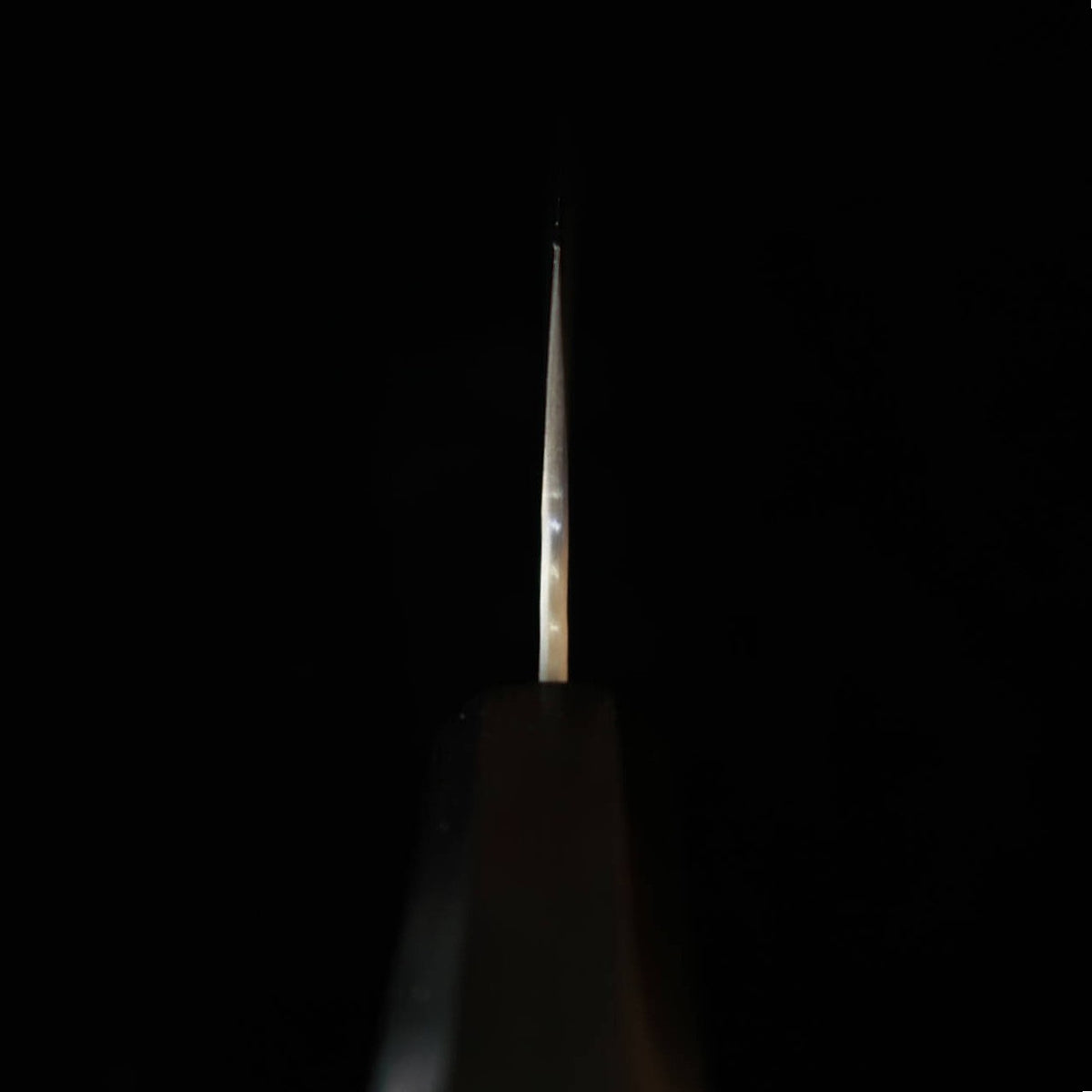 Nigara Hamono – SG2, poli martelé, gyuto kiritsuke, manche monobloc en ébène (210 mm)