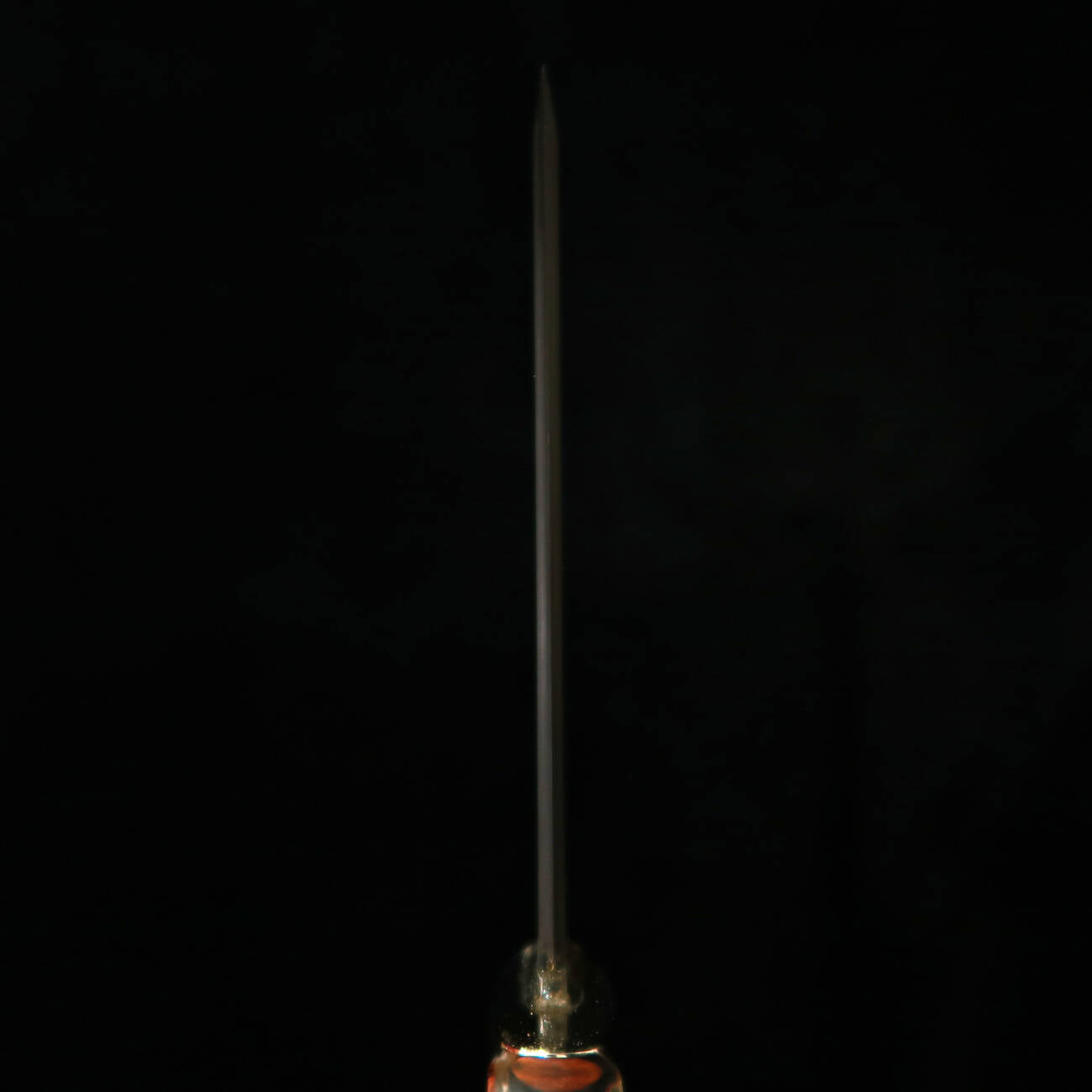 TAKEDA Cutelaria Bitchu Forja Manual por Masashi Moriya Faca de Bainha Lacewood B