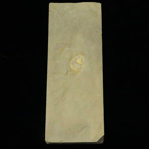 天然砥石　愛宕山合砥　極薄　40型　80×212×16mm