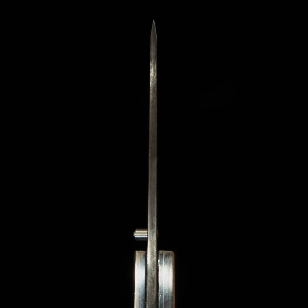TAKEDA Hamono Takeda forja manual Bitchu, obra de Fumio Inagaki, navaja de carpeta liner lock Resina A