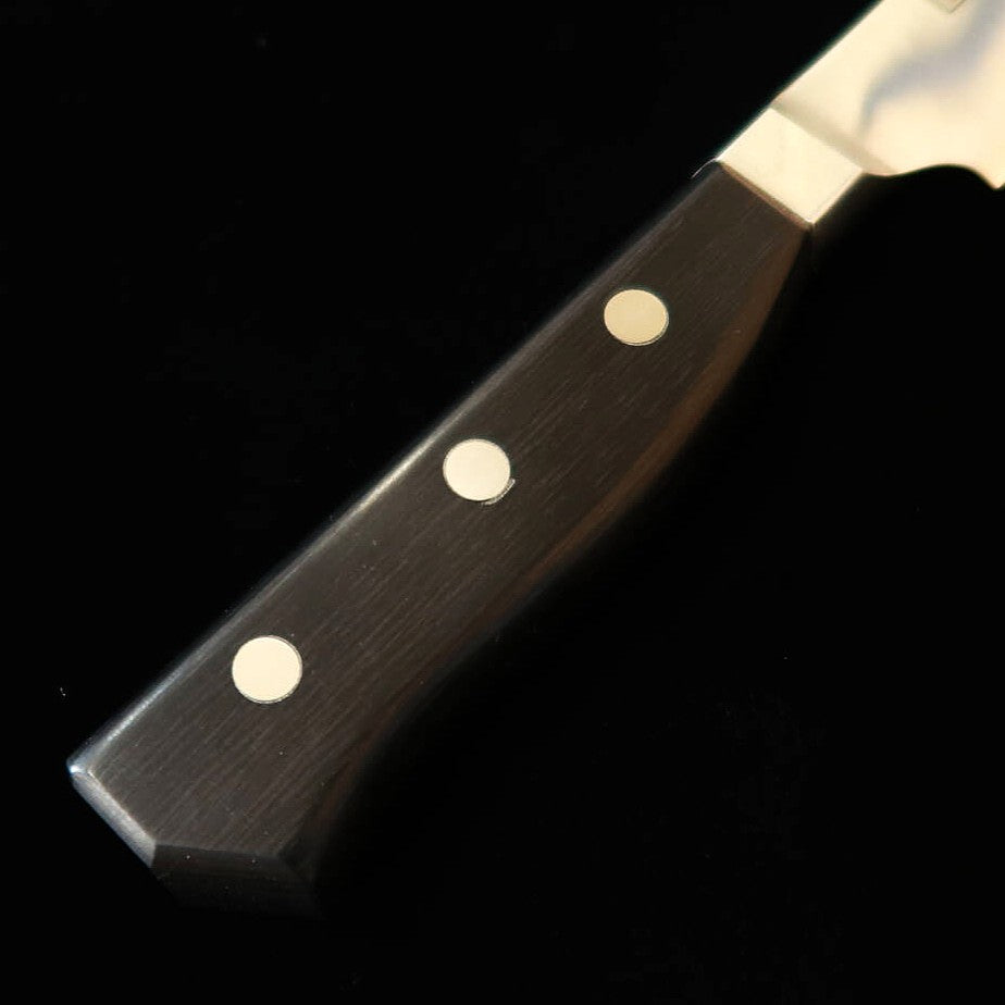 グレステン GLESTAIN  プロティナイフ 021TK （210mm）