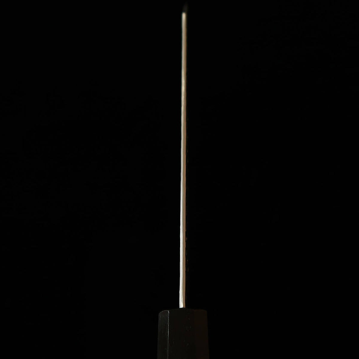 Nigara Hamono – SG2, poli martelé, gyuto kiritsuke, manche monobloc en ébène (210 mm)
