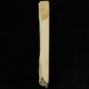 Piedra de afilar natural Nakayama Aoto, “koppa” 54 × 141 × 18 mm