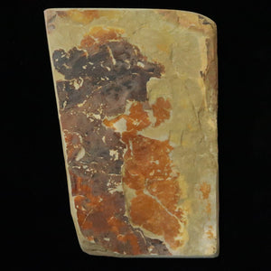 Piedra de afilar natural Nakayama, awasedo, “koppa” 83×118×14 mm