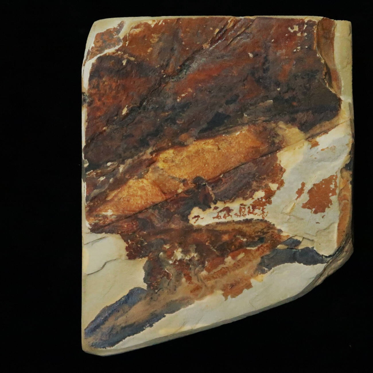 Pierre à aiguiser naturelle Nakayama Awasedo (Forme irrégulière) 127×102×33mm
