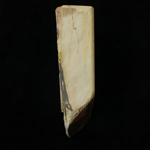 Piedra de afilar natural Nakayama Aoto, “koppa” 127×102×33 mm
